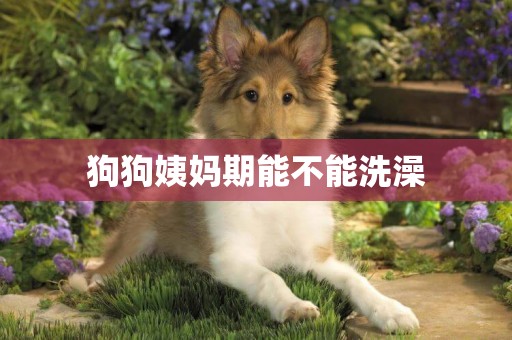 狗狗姨媽期能不能洗澡