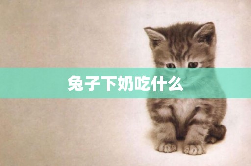 兔子下奶吃什么