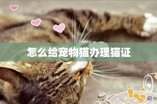 怎么給寵物貓辦理貓證