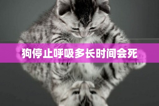 狗停止呼吸多長時間會死
