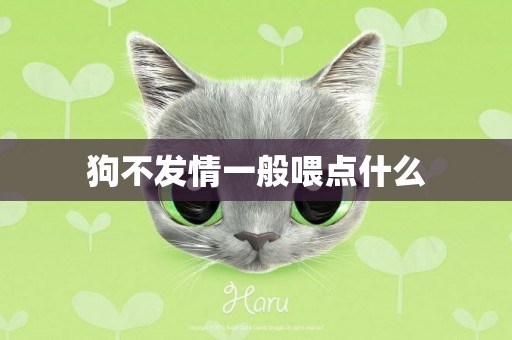 狗不發情一般喂點什么