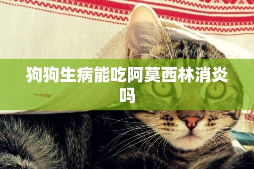 狗狗生病能吃阿莫西林消炎嗎