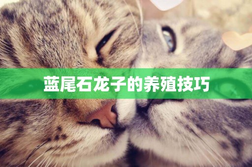 藍尾石龍子的養殖技巧