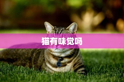 貓有味覺嗎