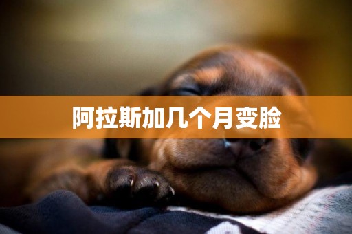 阿拉斯加幾個月變臉