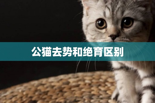 公貓去勢和絕育區別
