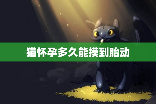 貓懷孕多久能摸到胎動