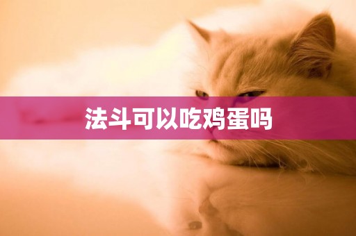 法斗可以吃雞蛋嗎