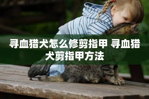 尋血獵犬怎么修剪指甲 尋血獵犬剪指甲方法