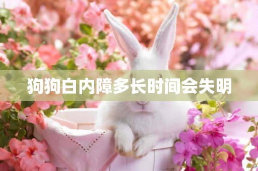 狗狗白內障多長時間會失明