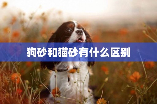 狗砂和貓砂有什么區別