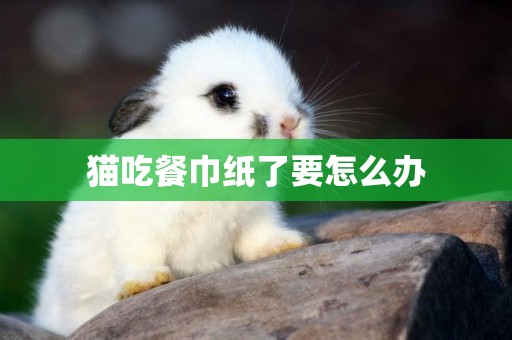 貓吃餐巾紙了要怎么辦