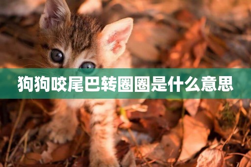 狗狗咬尾巴轉圈圈是什么意思