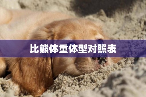 比熊體重體型對照表
