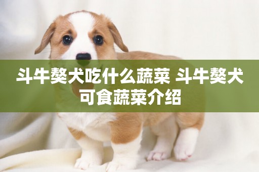 斗牛獒犬吃什么蔬菜 斗牛獒犬可食蔬菜介紹