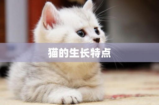 貓的生長特點