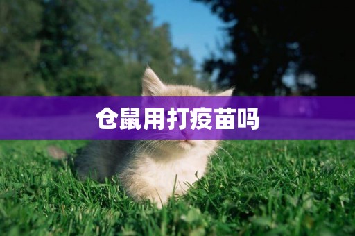 倉鼠用打疫苗嗎