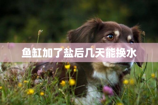 魚缸加了鹽后幾天能換水