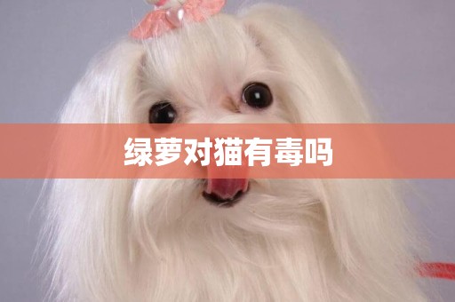 綠蘿對貓有毒嗎