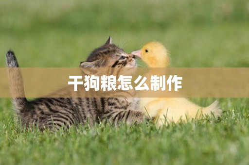 干狗糧怎么制作