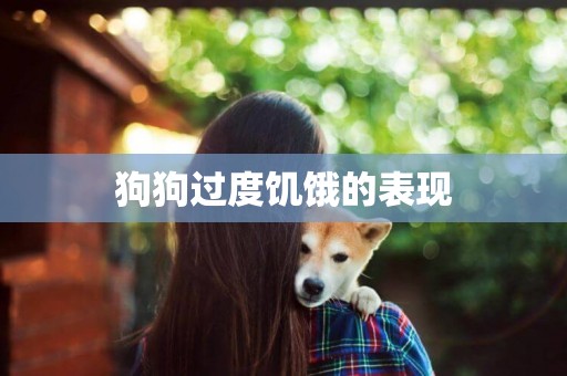 狗狗過度饑餓的表現