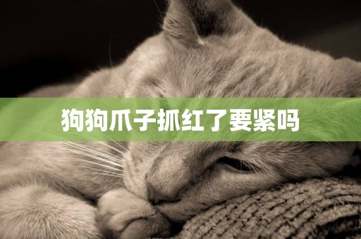 狗狗爪子抓紅了要緊嗎