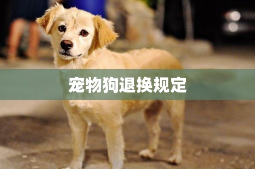 寵物狗退換規定