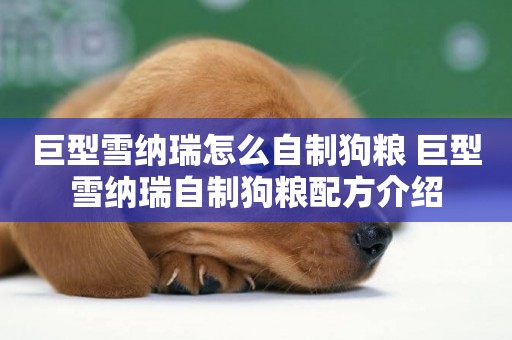 巨型雪納瑞怎么自制狗糧 巨型雪納瑞自制狗糧配方介紹