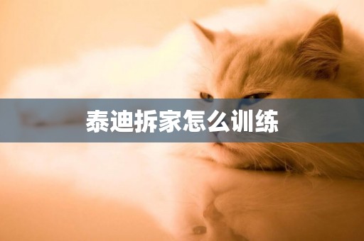 泰迪拆家怎么訓練
