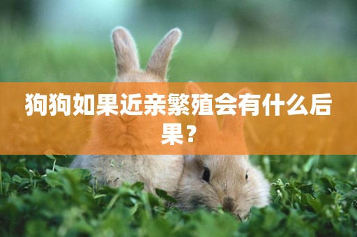 狗狗如果近親繁殖會有什么后果？