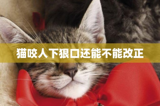 貓咬人下狠口還能不能改正