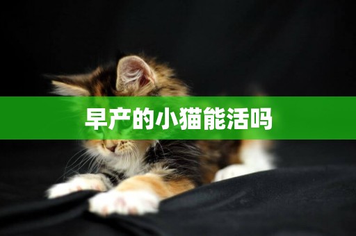 早產的小貓能活嗎
