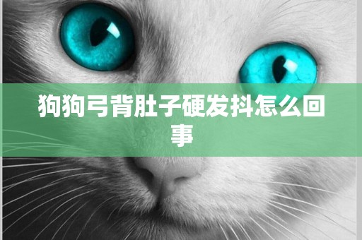 狗狗弓背肚子硬發抖怎么回事