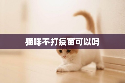 貓咪不打疫苗可以嗎