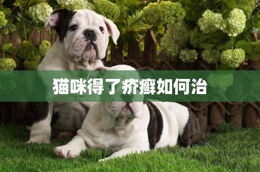 貓咪得了疥癬如何治