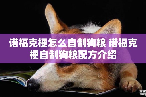 諾福克梗怎么自制狗糧 諾福克梗自制狗糧配方介紹