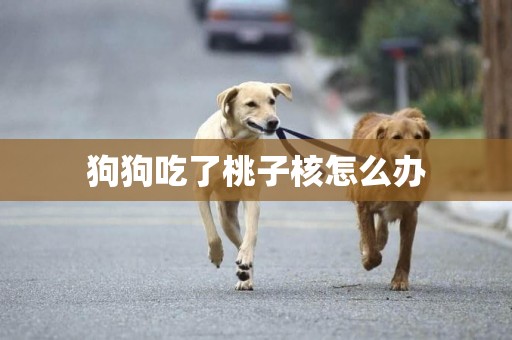 狗狗吃了桃子核怎么辦