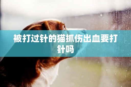 被打過針的貓抓傷出血要打針嗎