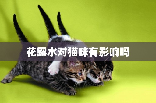 花露水對貓咪有影響嗎