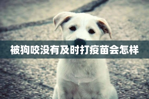 被狗咬沒有及時打疫苗會怎樣