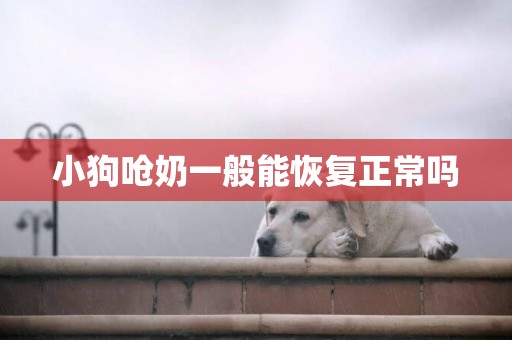 小狗嗆奶一般能恢復正常嗎