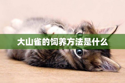 大山雀的飼養方法是什么