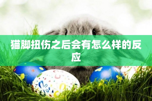 貓腳扭傷之后會有怎么樣的反應