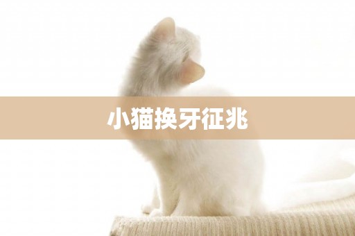 小貓換牙征兆