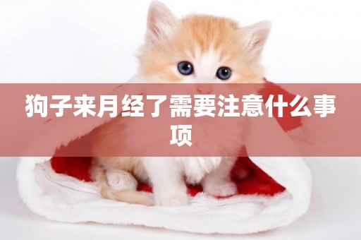 狗子來月經了需要注意什么事項