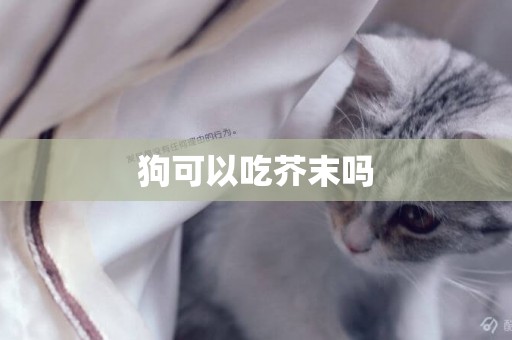 狗可以吃芥末嗎