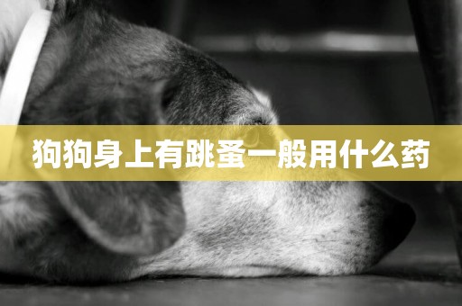 狗狗身上有跳蚤一般用什么藥