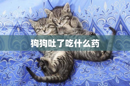 狗狗吐了吃什么藥