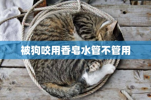 被狗咬用香皂水管不管用