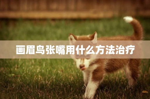 畫眉鳥張嘴用什么方法治療